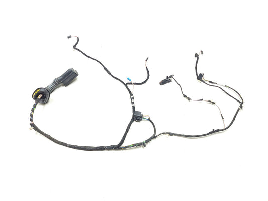 12-18 BMW 330xi F30 Door Wire Harness Rear Driver Side Left OEM ✅ 76k