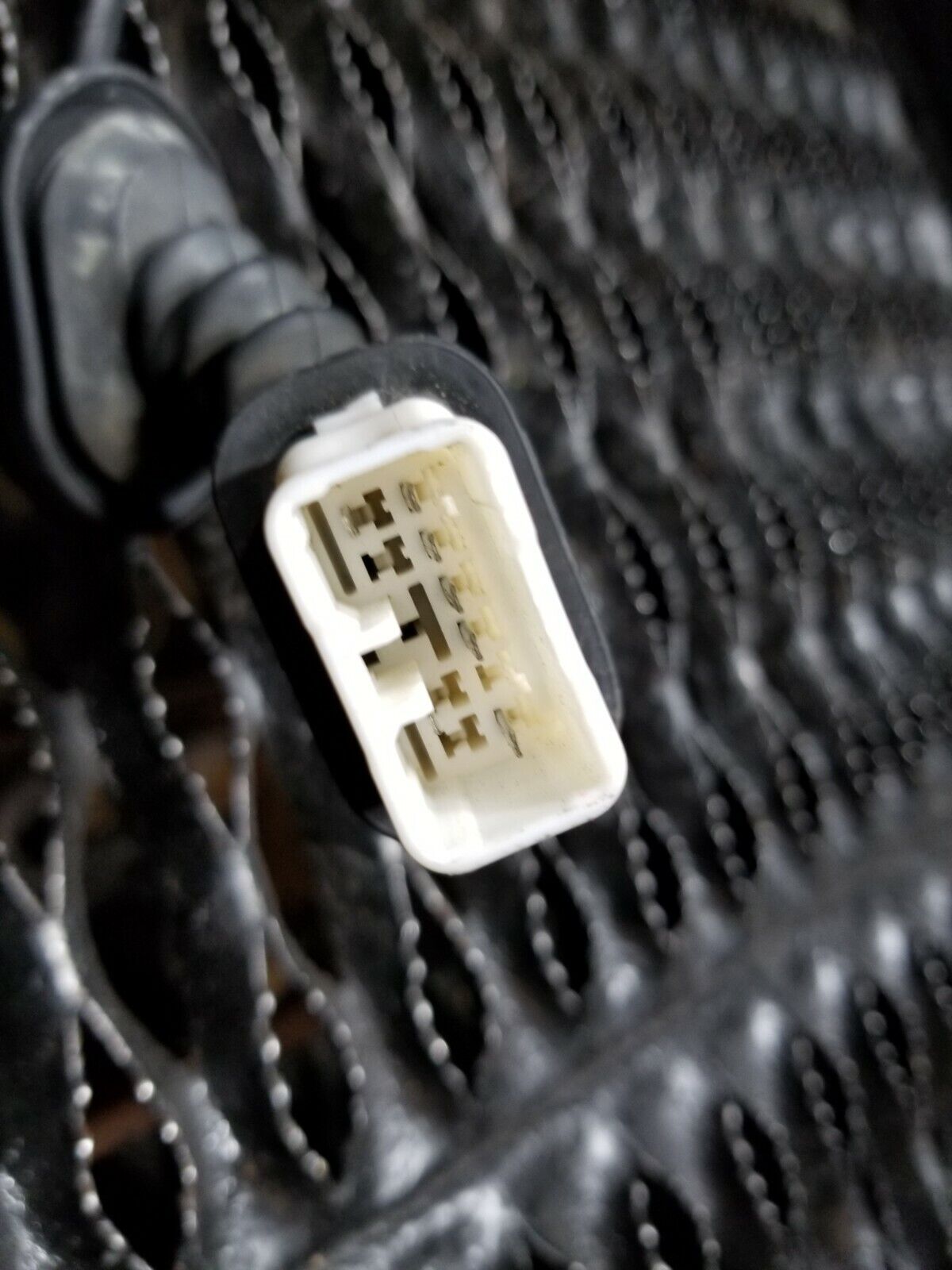 05 06 07 Dodge Magnum Door Wire Harness Rear Right Passenger Side OEM