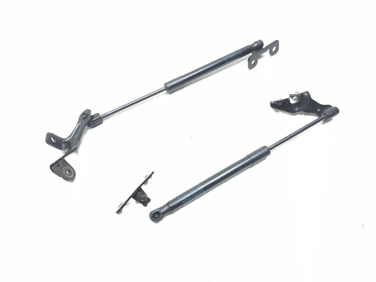 2020 Tesla Model 3 Front Bonnet Hood Strut Left & Right OEM