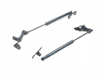 2020 Tesla Model 3 Front Bonnet Hood Strut Left & Right OEM