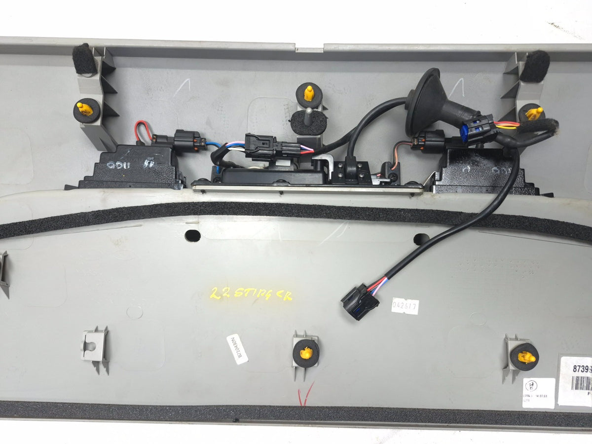 2022 Kia Stinger Rear Tailgate Lid Back Cover Panel W/ Rear View Camera OEM