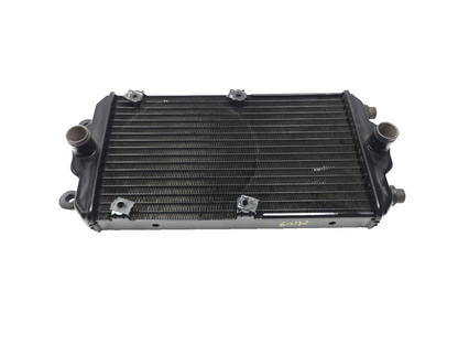 2016 Harley-davidson Street Xg750 Radiator Coolant OEM
