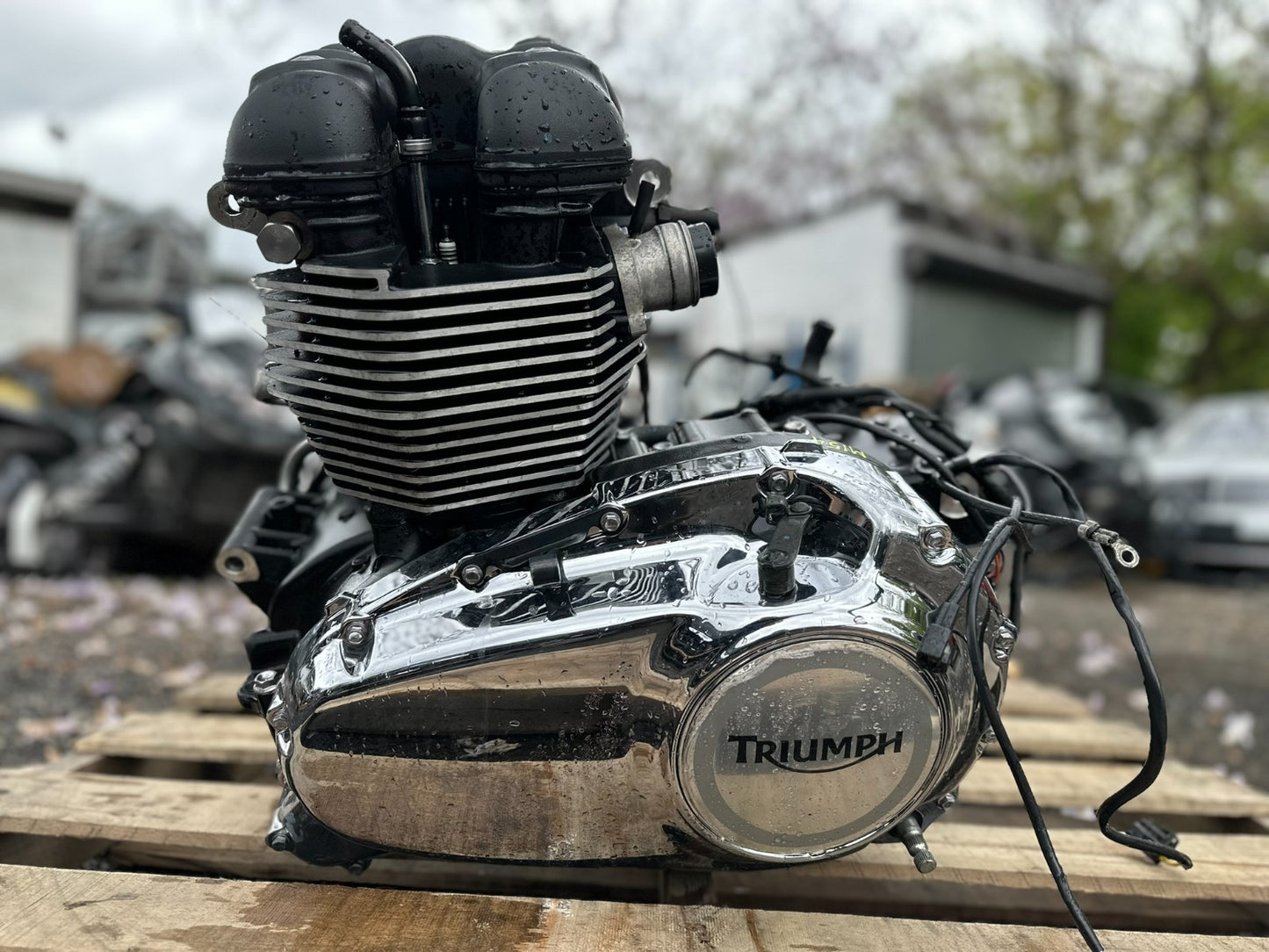 2014 Triumph America Engine Motor OEM 5,083 Miles