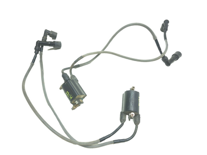 2001 Kawasaki Vulcan 1500 Vn1500 Classic Ignition Coil Pair OEM