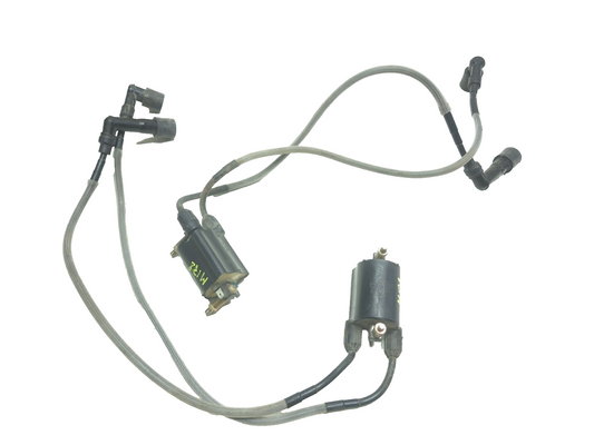 2001 Kawasaki Vulcan 1500 Vn1500 Classic Ignition Coil Pair OEM