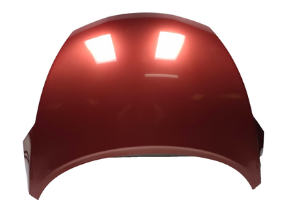 2011 Nissan Juke Hood OEM