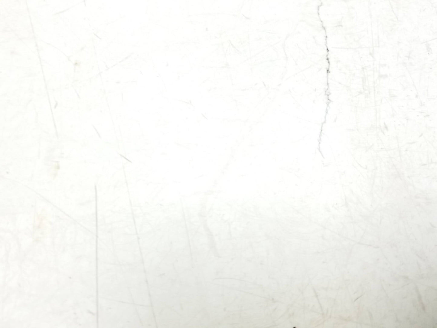 2009 - 2012 Audi Q5 Rear Seat Headrest 3pcs OEM ✅