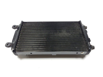 2016 Harley-davidson Street Xg750 Radiator Coolant OEM