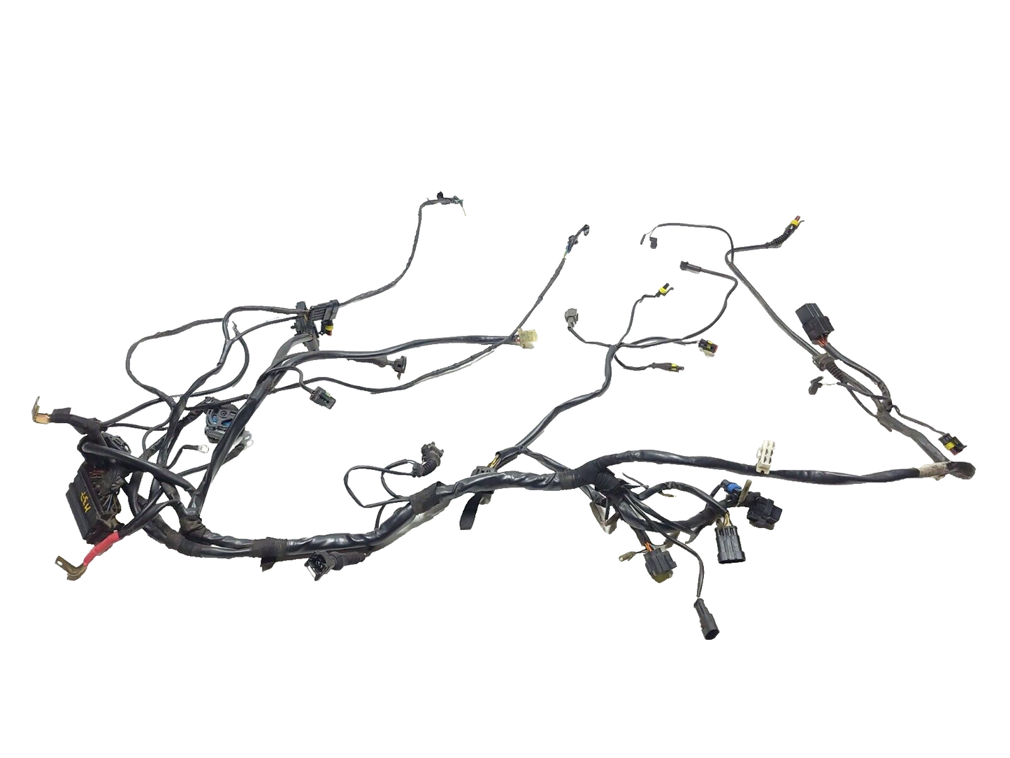 02-06 Ducati Monster M600 620 Main Wire Harness OEM