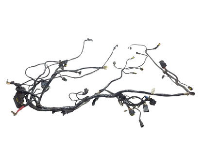 02-06 Ducati Monster M600 620 Main Wire Harness OEM