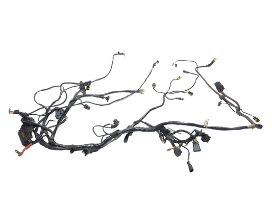02-06 Ducati Monster M600 620 Main Wire Harness OEM