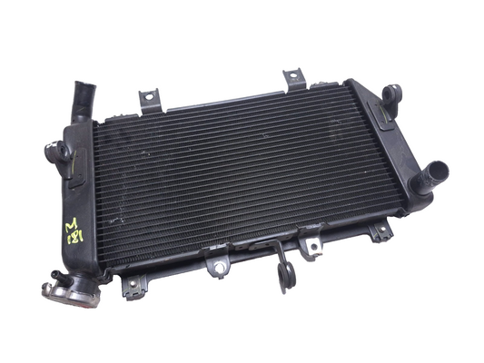 2023 Kawasaki Er400 Z400 Engine Coolant Radiator OEM