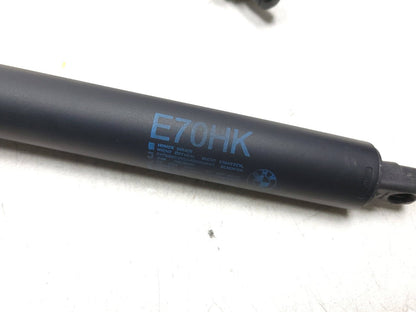 2007 - 2013 BMW X5 E70 Tailgate Trunk Lift Shock Left & Right OEM