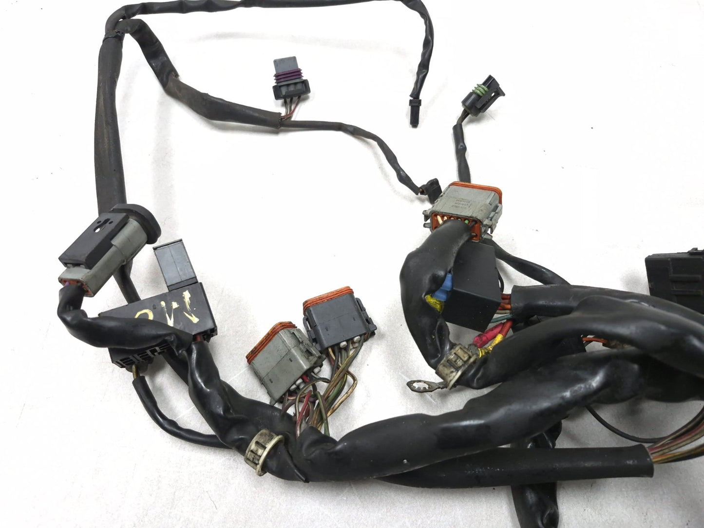 2003 Harley-davidson Fxdl Anniversary Dyna Main Wiring Harness OEM