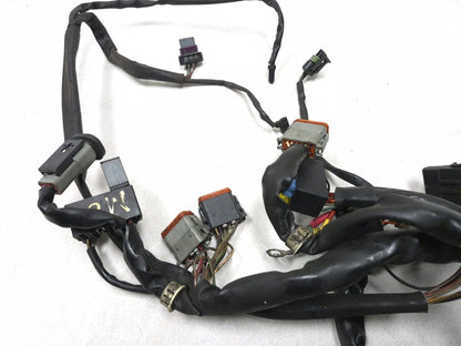 2003 Harley-davidson Fxdl Anniversary Dyna Main Wiring Harness OEM