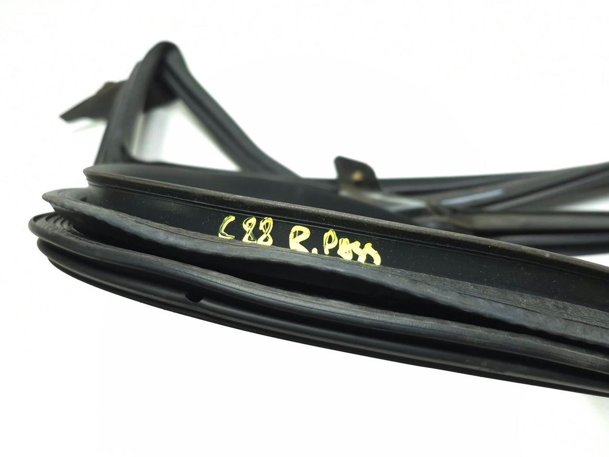 2018 Tesla Model 3 Rear Door Seal & Belt Molding Passenger Side Rh 3pcs OEM