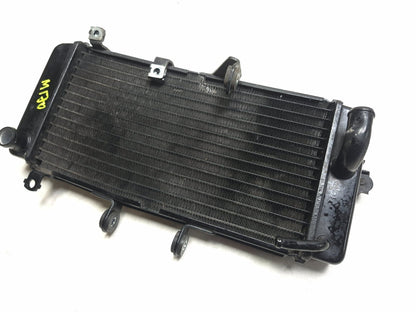 2015 Suzuki Gw250 Inazuma 250 Radiator OEM