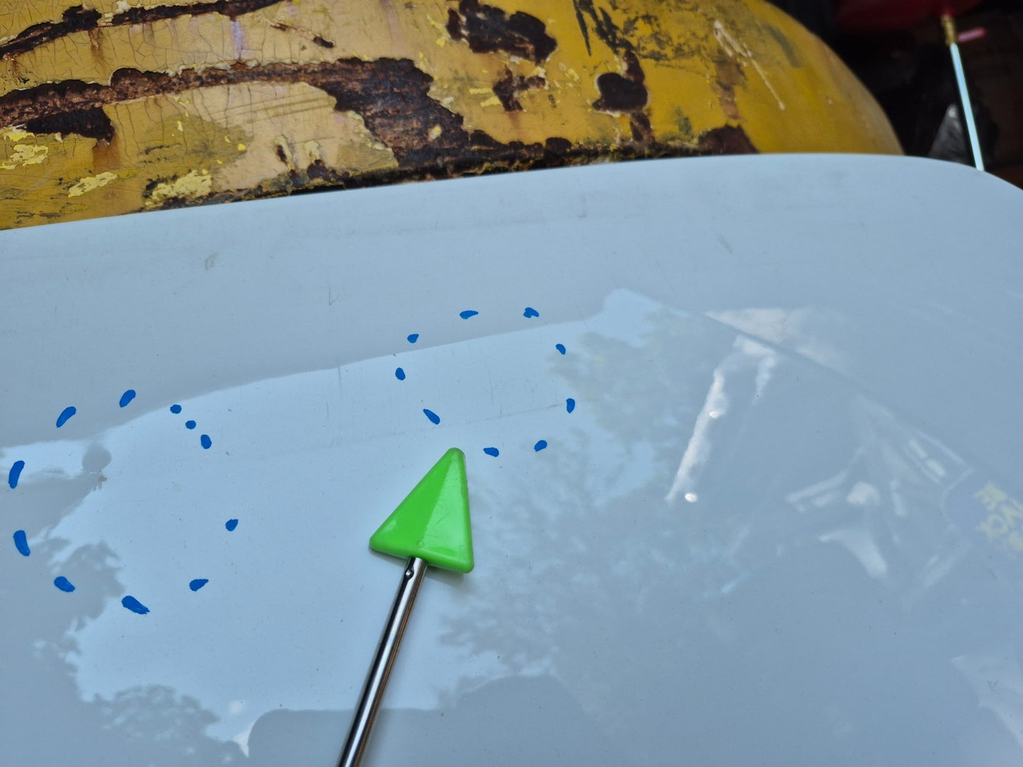 2012 Volvo C30 Hood Bonnet Panel  OEM
