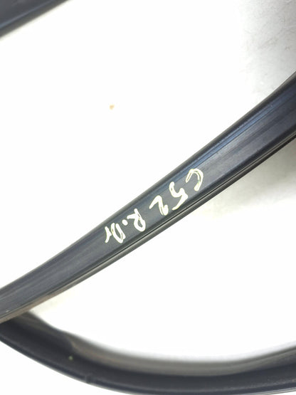 2008 BMW X6 E71 Door Weatherstrip Rear Driver Side Left OEM