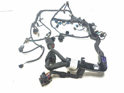 2018 Hyundai Sonata 2.4l Engine Wire Harness OEM