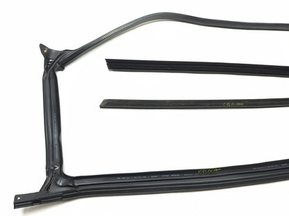 2020 Tesla Model 3 Front Door Seal & Belt Molding Passenger Side 3 Pcs OEM