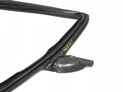 2021 Tesla Model 3 Rear Door Window Belt Molding & Door Seal Driver Side 3pcsoem