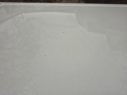 2008 Lincoln Navigator Hood Panel OEM