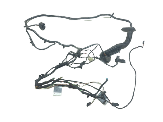 2008 BMW X6 E71 Rear Door Wire Harness Passenger Side Right OEM