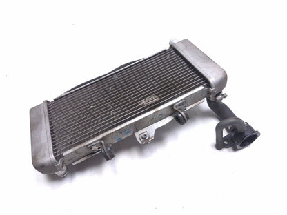 2020 Honda Cb300r Cbf300na Radiator OEM