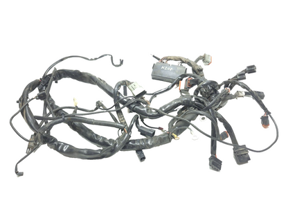 2003 Harley-davidson Electra Glide Flht Main Wiring Harness & Fuse Box