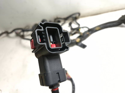 2008 Lincoln Navigator Engine Bay Wire Harness 5.4l V8 OEM