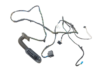 2007 - 2013 BMW X5 E70 Door Wire Harness Rear Driver Side Left OEM