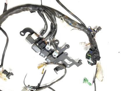 2002 Aprilia Rst 1000 Futura Front & Rear Main Engine Wiring Harness OEM