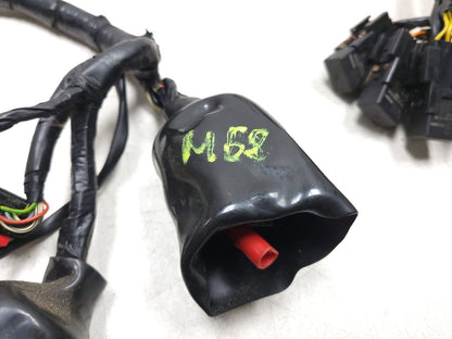 2022 - 2024 Royal Enfield Classic 350 Main Wire Harness OEM