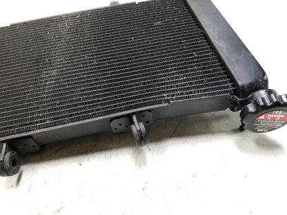 2014 - 2018 Honda Cbr650f Radiator Coolant  OEM
