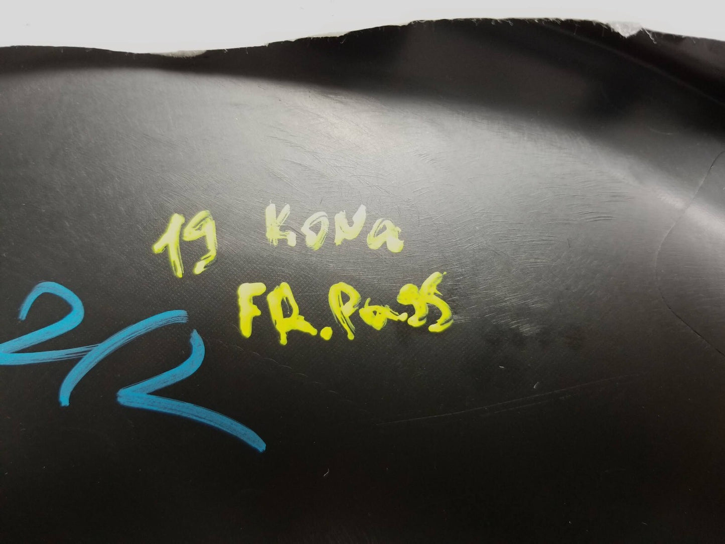2019 Hyundai Kona Front Passenger Door Panel OEM