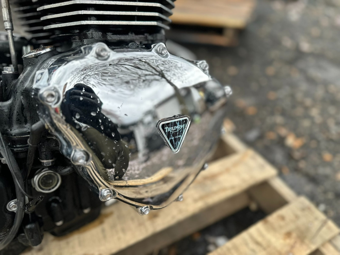 2014 Triumph America Engine Motor OEM 5,083 Miles