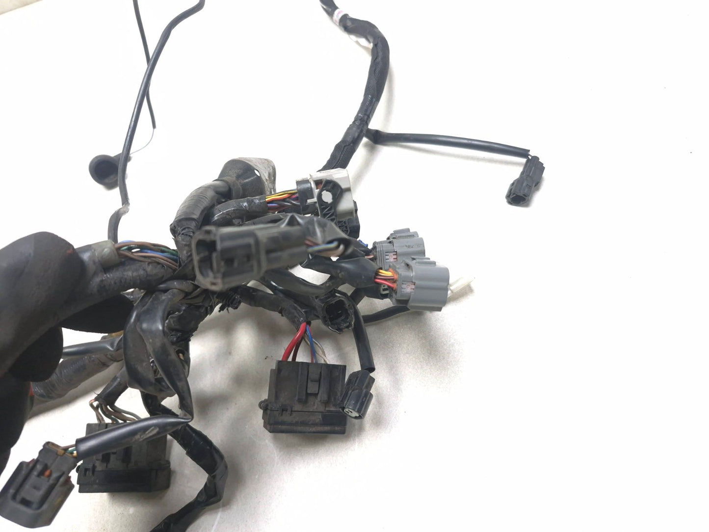 2023 Kawasaki Ninja Ex 400 Main Wire Harness OEM