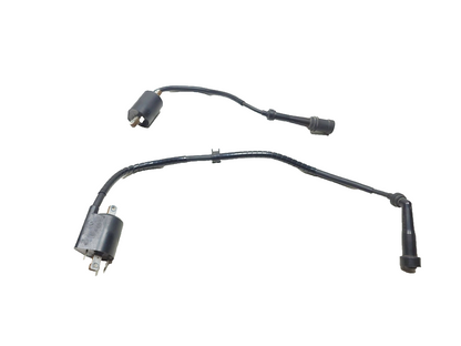 1998 - 2010 Yamaha V Star 650 Xvs650 Classic Ignition Coil 2pcs OEM