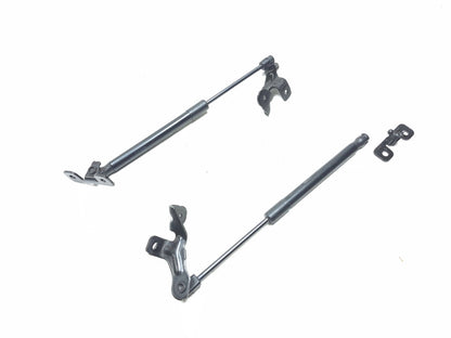 2020 Tesla Model 3 Front Bonnet Hood Strut Left & Right OEM