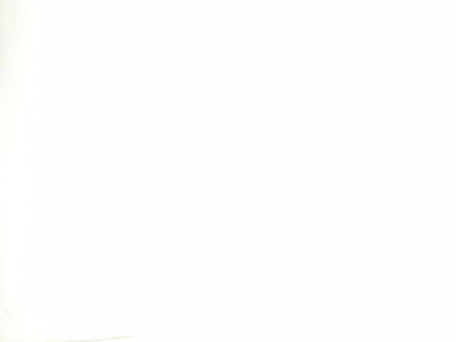 2024 Alfa Romeo Stelvio Door Weatherstrip Rear Passenger Side Right OEM