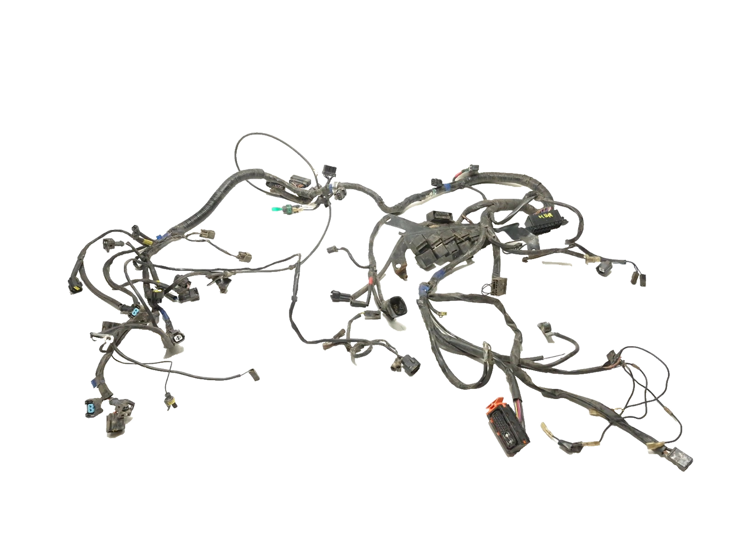 2008 Triumph Sprint St Main Wire Harness OEM
