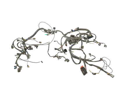 2008 Triumph Sprint St Main Wire Harness OEM