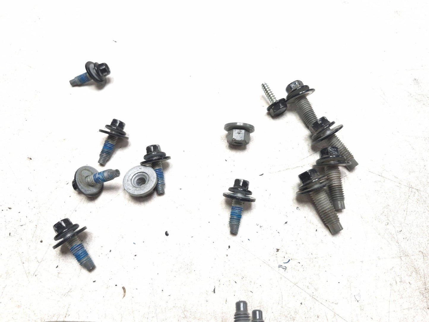 2019 Ford Ecosport Hinge Trunk Pair OEM