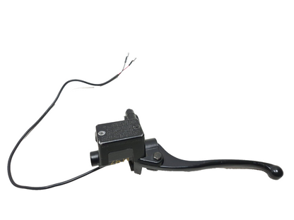 2023 Qianxin Fy200t Brake Master Cylinder & Lever Left OEM