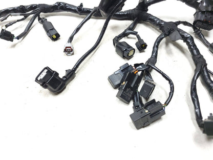 2024 Royal Enfield Bullet 350 Main Wire Harness  OEM