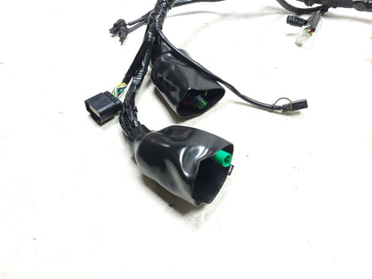 2024 Royal Enfield Bullet 350 Main Wire Harness  OEM