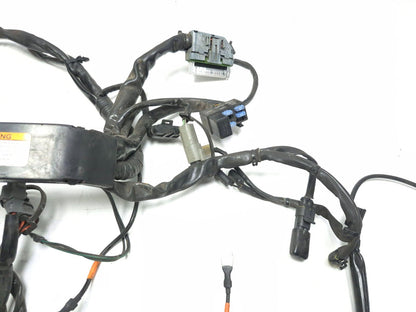 2007 Harley-davidson Touring Street Glide Main Wire Harness OEM