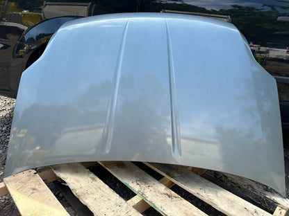 07 08 09 10 11 Nissna Sentra Hood Oem.