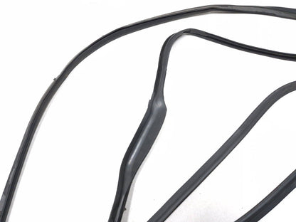 2011 BMW 535i F10 Rear Door Window Belt & Weatherstrip Seal Driver Side Left OEM